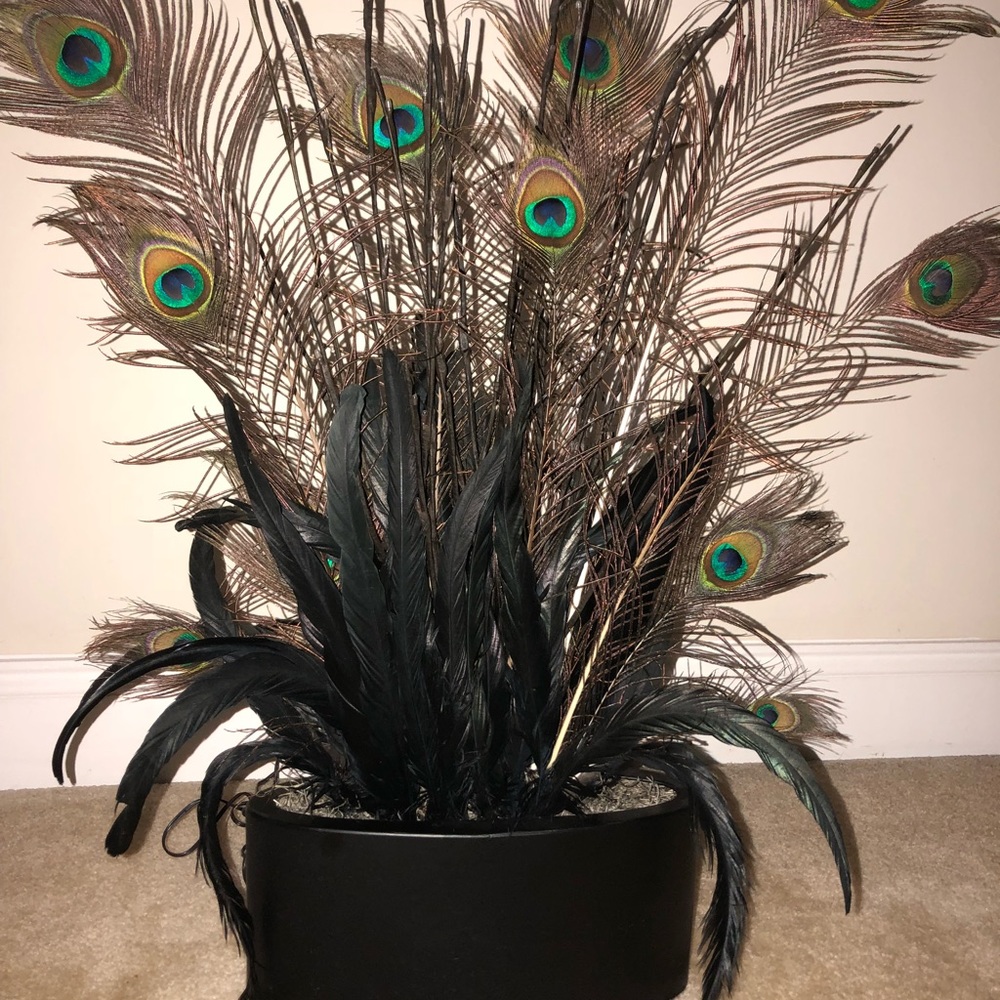 Beautiful Peacock decor piece